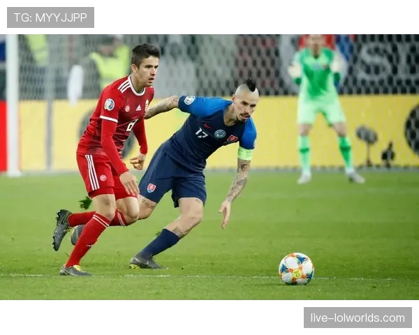 下届世锦赛举办国匈牙利-斯洛伐克公布赛事Logo和口号